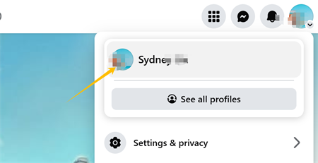 फेसबुकमा प्रोफाइल फोटो क्लिक गर्नुहोस्